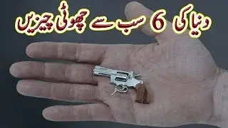 6 Smallest Things in the World | Education | Urdu Documentary | Factical