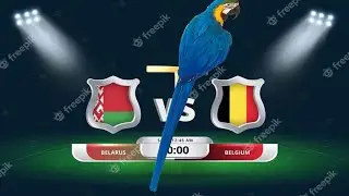 Belarus vs Belgium Prediction || FIFA World Cup 2022 || Parrot Prediction