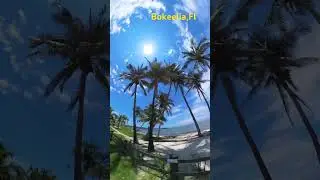 Bokeelia, FL #palmtrees #florida #leecounty #biking #adventure