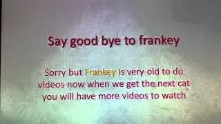 LAST VIDEO OF FRANKEY