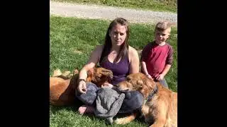 The Norwex Pet Towel & Pet Mitt Demonstration!