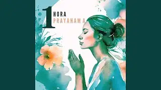 Armon&iacute;a Interna
