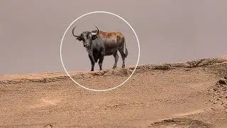 NASA Captured Stunning Images from Perseverance Rover on Mars - Sol 1247 | Mars Latest Video