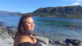 Tips and Tricks if you are a new dog owner🐶📽️🏞️