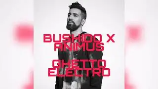 BUSHIDO X ANIMUS - GHETTO ELECTRO / CCN4 TYPE BEAT WITH HOOK (PROD BY DAN2GO BEATZ)