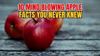 10 Mind Blowing Apple Facts You Never Knew
