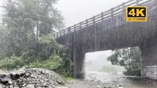 Monsoon Magic || Calm & Serene Nature Walk|Relaxing 4K Rain Walk