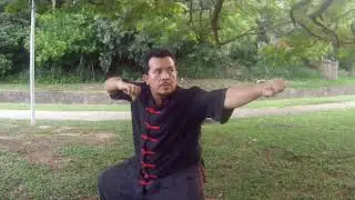 Tantui de 10 Sequ&ecirc;ncias | Parte 1-3 | Video Aula 1. #KungFu #TanTui #MartialArts