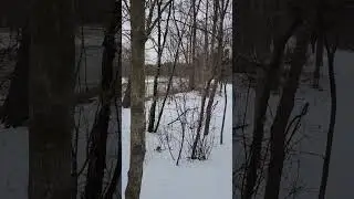 Visit to Timothy Park, Streetsville, Mississauga, Ontario, Canada.