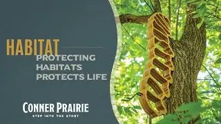 Conner Prairie - Habitat