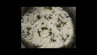 যাল যাল বর্তা সাথে হচ্ছে খুদের ভাত 