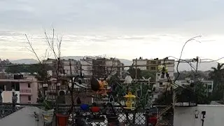 Nature View whatsApp status  // Save Birds 🐦  //