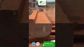ECOPRO&reg; La scierie mobile la plus fiable pour vos projets de transformation des bois tropicaux. 🚀