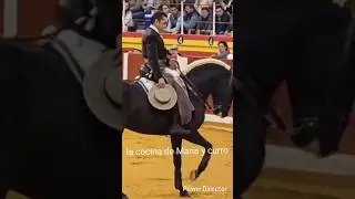ANDALUSIAN HORSE BULLFIGHTING 14-07-2025