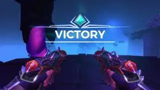Paladins how I play