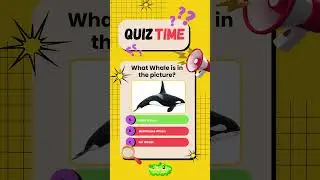 Only Ocean Lovers Can Answer! 🐋💙 | Whales Quiz | #AnimalQuiz | #OceanQuiz | #Wildlife | #QuizShorts