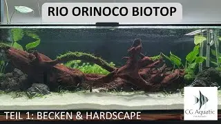Rio Orinoco Biotop - Teil 1: Becken und Hardscape