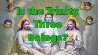 Is the Trinity three beings? | Ps Rudolph P. Boshoff | Ad Lucem Ministries.