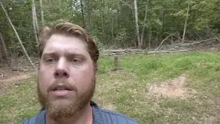 No Till Hidey Hole Plot 1 Month Update (Evolved Clover Pro)