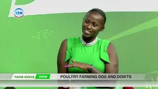 Poultry farming dos and don'ts | Farm Kenya