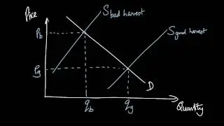 AS Economics Intervention #5: Buffer Stocks to stabilise prices