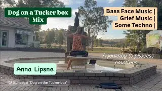 DOG and the Tucker Box MIX | Techno | Beats | Bass Face Music