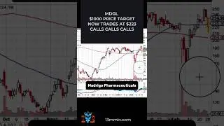 The Trade that will be on everyone lips in a short time. MDGL #trade #stockmarket #trading #options