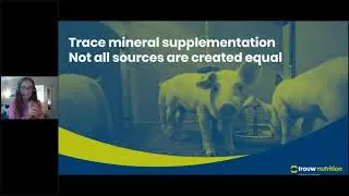Copper, the gut health benefit to grower finisher pig production