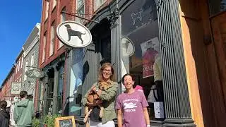 Black Dog Newburyport Adoption Event with Sweet Paws Rescue