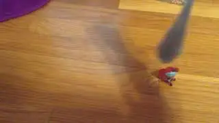 My slimify video