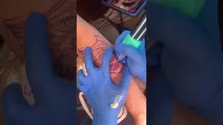 Money rose tattoo timelapse