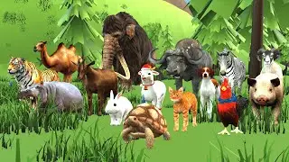 Long Slide Game with Cow Elephant Gorilla Hippopotamus Tiger 3d Animal Game Funny 3d Animals