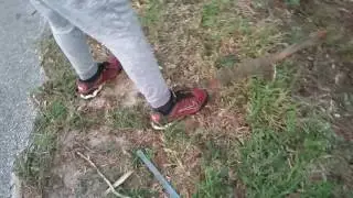 Journey to buddy boys