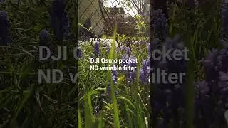 DJI Osmo pocket ND variable filter