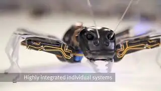 8 ADVANCED ROBOTS ANIMAL YOU NEED TO SEE