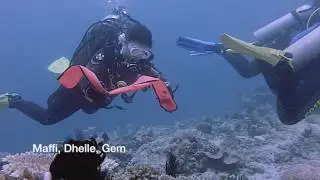 A Different Kind of Discover Scuba Diving DSD (Intro Dive)