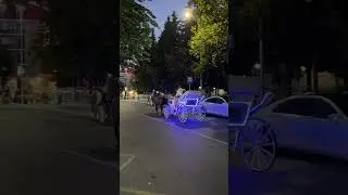Nighttime Magic in Pomorie 🐴✨ #pomorie #bulgaria #horsedrawncarriage #shorts #youtubeshorts