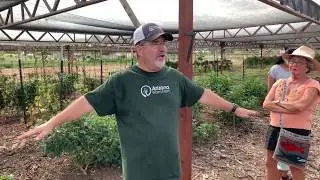 Arizona Worm Farm - Station 7 - Raised Bed Garden