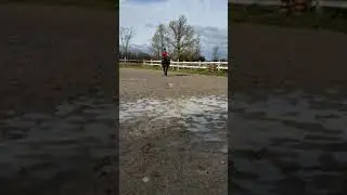 tika at walk