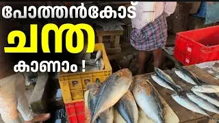 Vegetable kit 50rs only | Pothenkode market | Malayalam vlog |@ektabyrani
