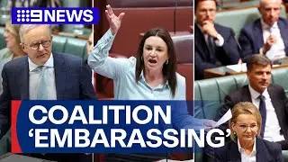 'Fix it today': Calls for Coalition to reform amid surging One Nation party | 9 News Australia