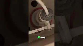 How to Repair a Mansfield Flush Valve Seal   Easy and Affordable DIY Fix