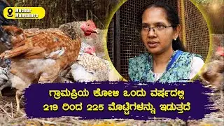 ನಾಟಿ ಕೋಳಿ ಸಾಕಾಣಿಕೆಯಿಂದ ಅಧಿಕ ಲಾಭ ಪಡೆಯಿರಿ | Gramapriya Chicken Farming Guide | Sakath Business