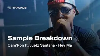 Sample Breakdown: Cam&rsquo;Ron ft. Juelz Santana - Hey Ma