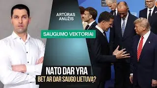 NATO dar yra. Bet ar dar saugo Lietuvą?