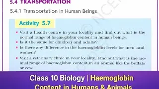 Haemoglobin Content in Humans & Animals | Class 10 Biology NCERT | Transportation | Full Marks