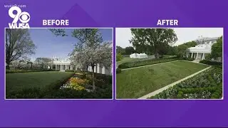 Petition calls for Jill Biden to undo changes to White House Rose Garden