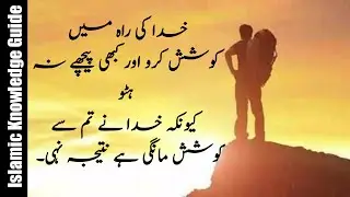 Best Islamic Quotes that can change  your life | Urdu Quotes | Islamic  Knowledge Guide.