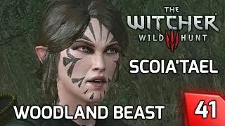 Witcher 3 Contract: Scoia'Tael Elves, the Woodland Beast - Story & Gameplay #41 [PC]