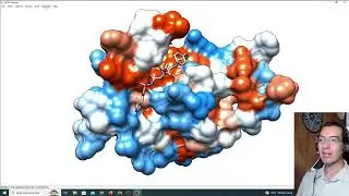 modeling, docking and structure analysis using UCSF Chimera